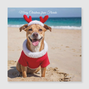 Merry Christmas from Florida Beach