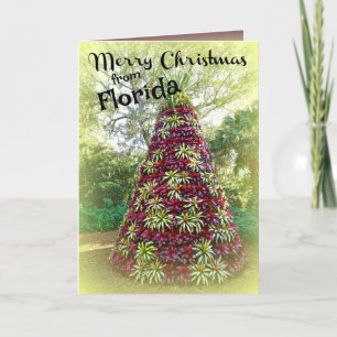 Merry Christmas from Florida Bromeliad Tree Holiday Card