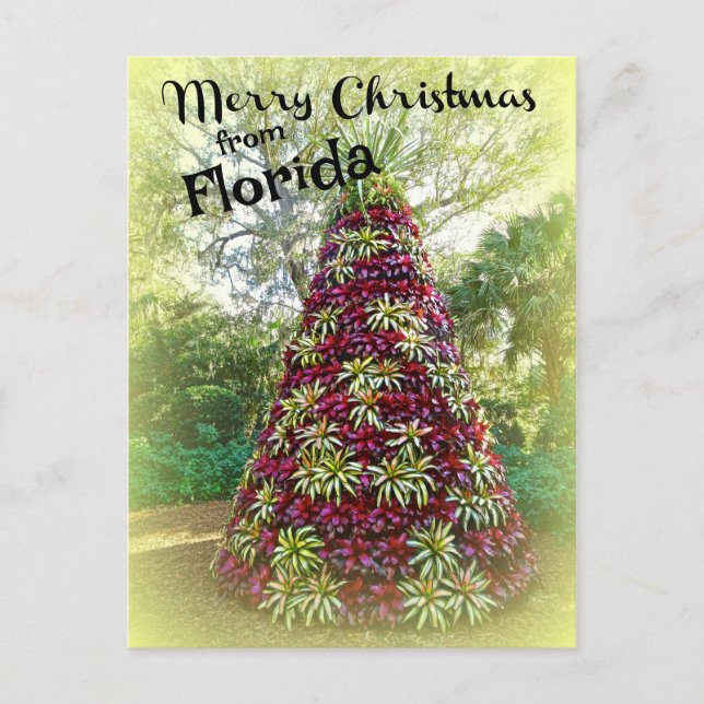 Merry Christmas from Florida Bromeliad Tree Postcard (Front)