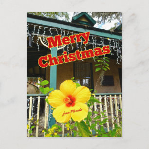Merry Christmas from Florida Tropical Hibiscus Postcard