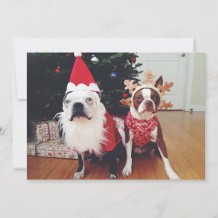 Merry Christmas from Hogwarts & Clementine Holiday Card