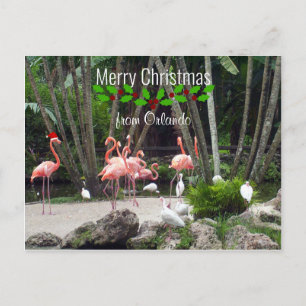 Merry Christmas from Orlando - Pink Flamingos Holiday Postcard