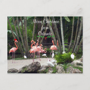 Merry Christmas from Orlando - Pink Flamingos Holiday Postcard