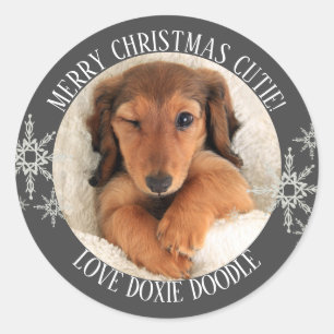 Merry Christmas from Photo Classic Round Sticker
