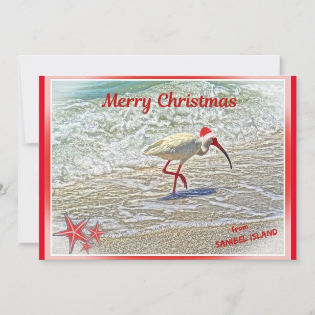 Merry Christmas from Sanibel Island FL White Ibis  Holiday Card (Front)