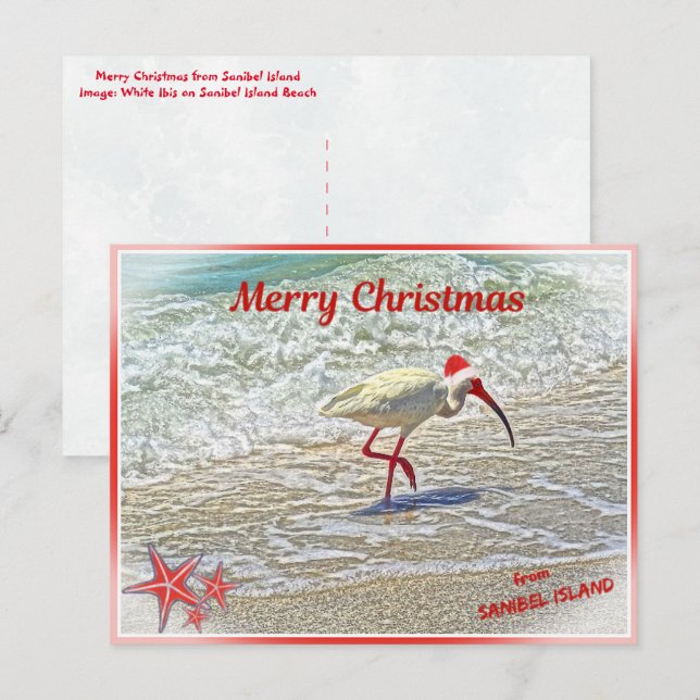 Merry Christmas from Sanibel Island FL White Ibis  Holiday Postcard (Front/Back)