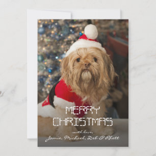 Merry christmas from Santa paws Holiday Card