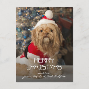 Merry christmas from Santa paws Holiday Postcard