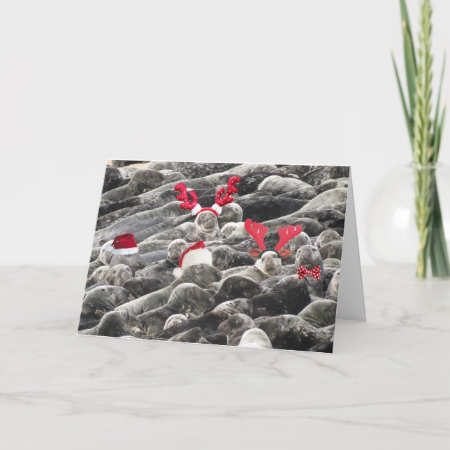 Merry Christmas from seals Holiday Card (Front)