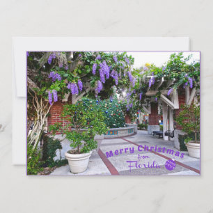 Merry Christmas from Sunny Florida Purple Flowers Holiday Card