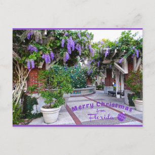 Merry Christmas from Sunny Florida Purple Flowers Postcard