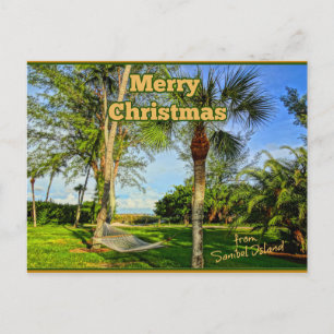 Merry Christmas from Sunny Sanibel Island Florida Postcard