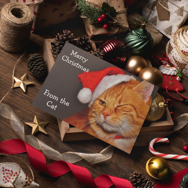 Merry Christmas from the Cat Holiday Card (Creator Uploaded)