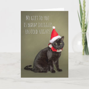 Merry Christmas From The Cat Humour Holiday Card