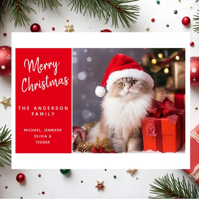 Merry Christmas from the Cat in a Santa Hat Holiday Card (Creator Uploaded)