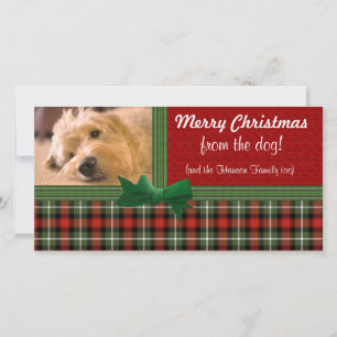 Merry Christmas from the Dog Custom Holiday Card