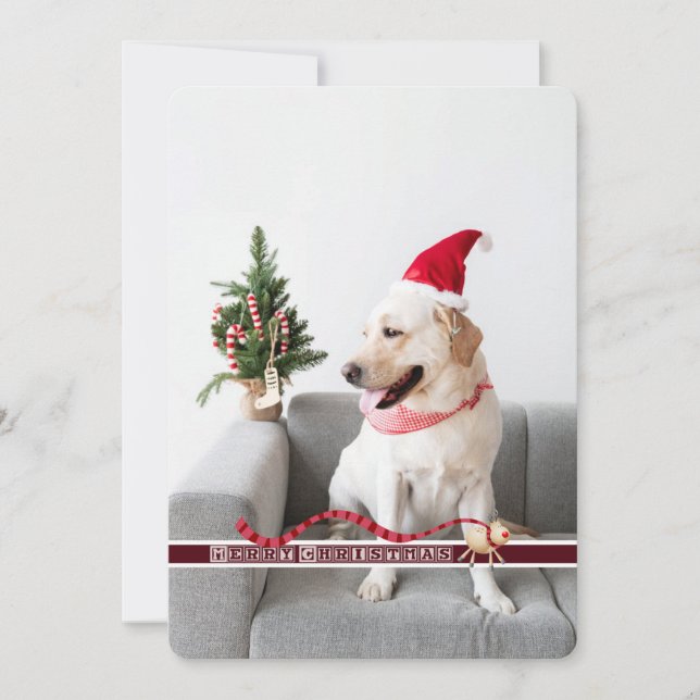 Merry Christmas From the Dog Customisable Holiday Card (Front)