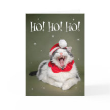 Merry Christmas Funny Cat Saying Ho Ho Ho