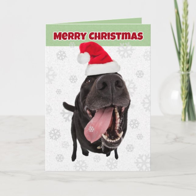 Merry Christmas Funny Dog Catching Snowflakes Holiday Card (Front)