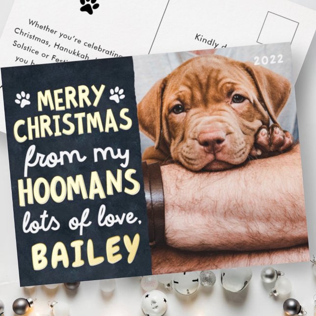 Merry Christmas Funny Modern Pet Custom Photo Foil Holiday Postcard (Creator Uploaded)