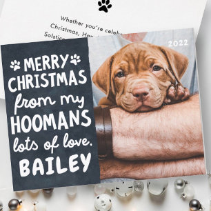 Merry Christmas Funny Modern Pet Custom Photo Holiday Card