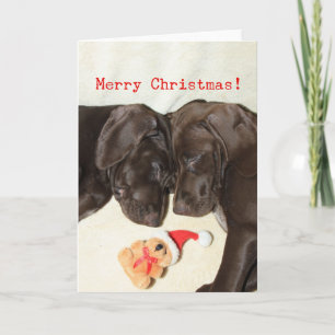 Merry Christmas German Pointer Sisters Holiday Card