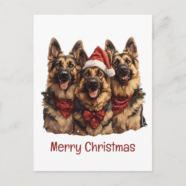 Merry Christmas German Shepherd Dogs Postcard (Front)