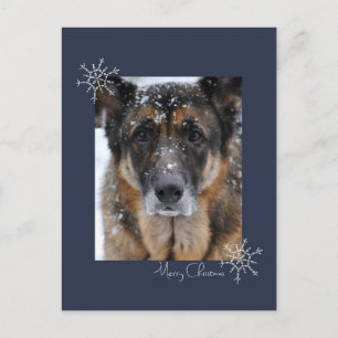 Merry Christmas German Shepherd in Snow Postcard