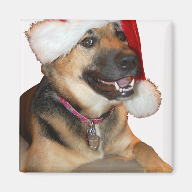 Merry Christmas German Shepherd Magnet (Front)