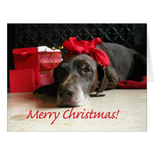 Merry Christmas German Shorthaired Pointer