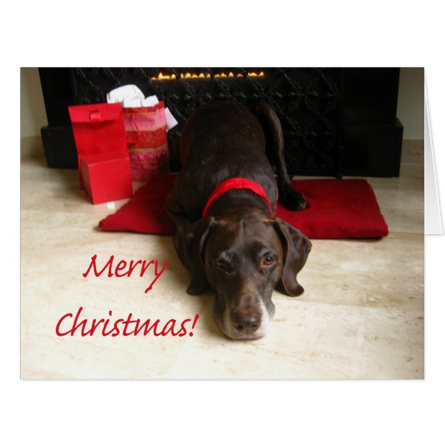 Merry Christmas German Shorthaired Pointer (Front Horizontal)