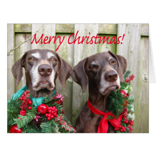Merry Christmas German Shorthaired Pointer