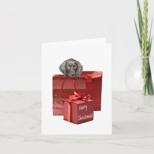 Merry Christmas german shorthaired pointer Holiday Card (Front)