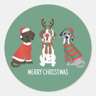 Merry Christmas Great Dane Dogs Classic Round Sticker