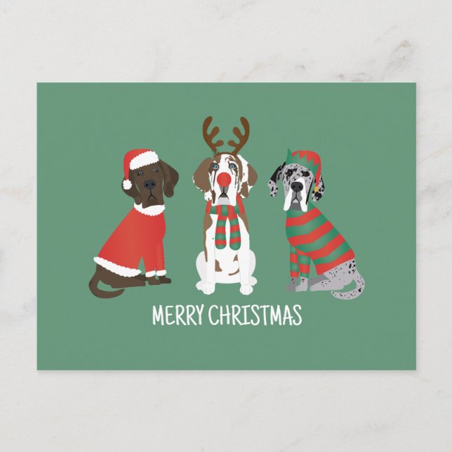 Merry Christmas Great Dane Dogs Postcard (Front)