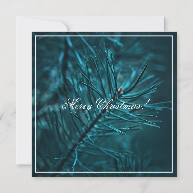 Merry Christmas Green Pine Fir Tree Greeting Card (Front)