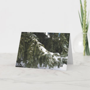 Merry Christmas greeting card