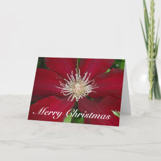 Merry Christmas Greeting Card