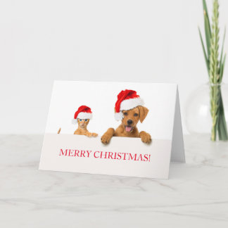 MERRY CHRISTMAS Greeting Card DOG AND CAT