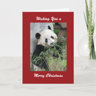 Merry Christmas Greeting Giant Panda Red Border Holiday Card