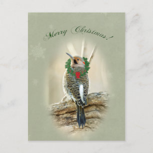 Merry Christmas Greeting - Northern Flicker Holiday Postcard