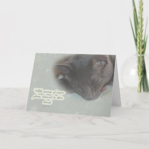 Merry Christmas Greeting - Sleeping Kitty - Dreams Holiday Card