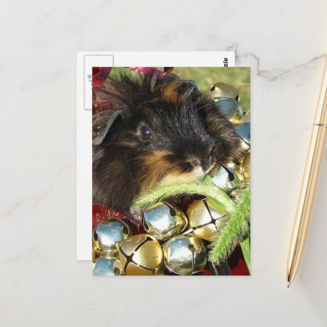 Merry Christmas Guinea Pig Postcard (Front/Back In Situ)