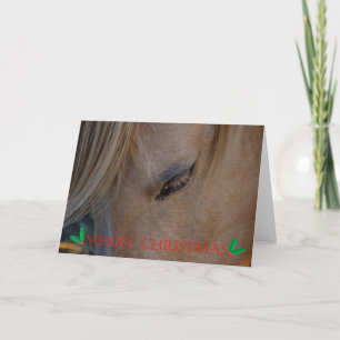 Merry Christmas Happy Holidays Christmas horse Holiday Card