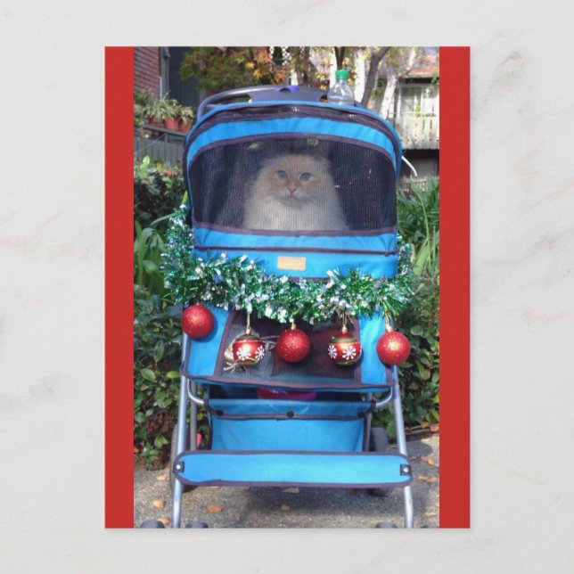 Merry Christmas & Happy New Year Postcard (Front)