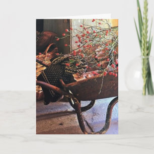 **MERRY CHRISTMAS & HAPPY NEW YEAR TOO** CARD