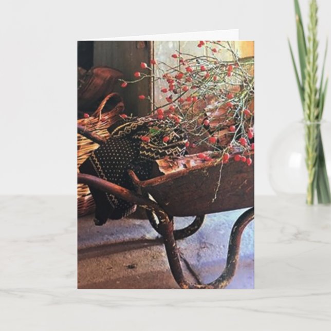 **MERRY CHRISTMAS & HAPPY NEW YEAR TOO** CARD (Front)