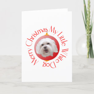 Merry Christmas Havanese Holiday Card