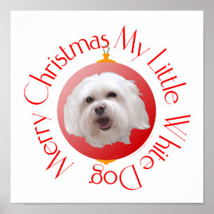 Merry Christmas Havanese Poster