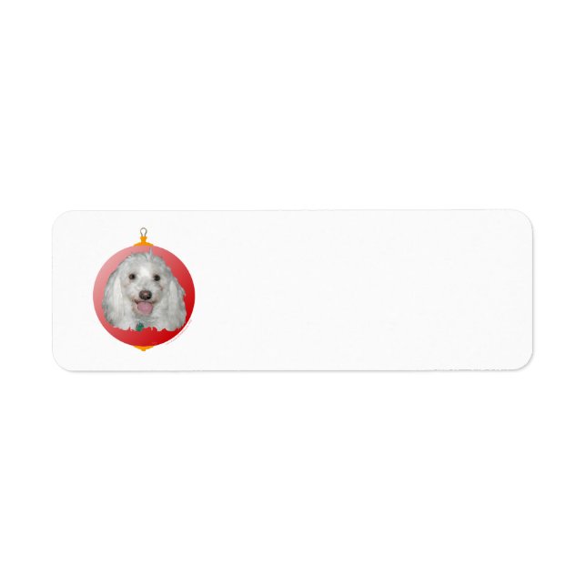 Merry Christmas Havanese Return Address Label (Front)